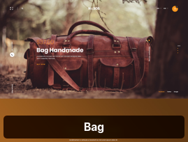 Bag