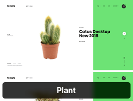 Plant