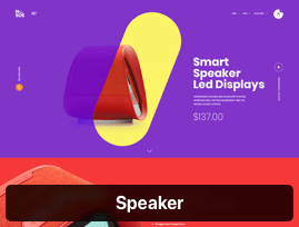 Speaker